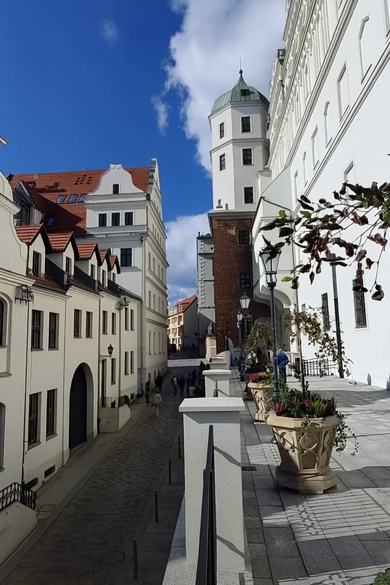 tarasy zamkowa szczecin.webp